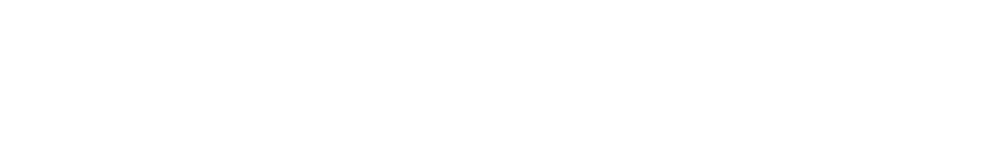 LOGiT FLOW